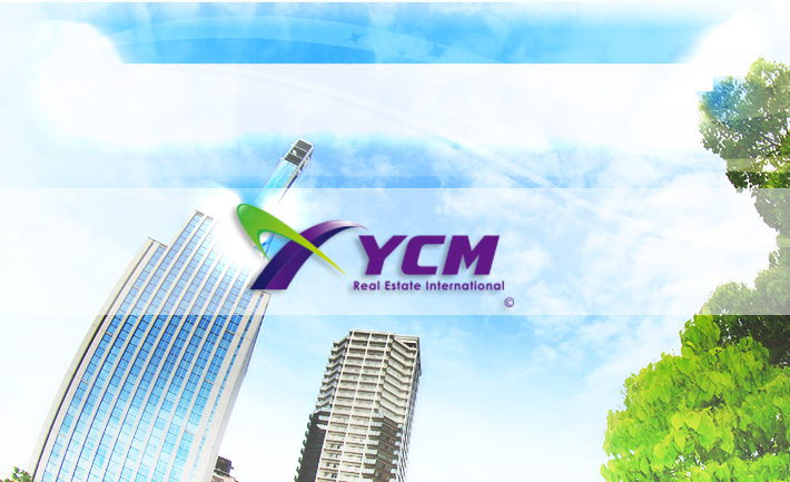 YCM业务内容